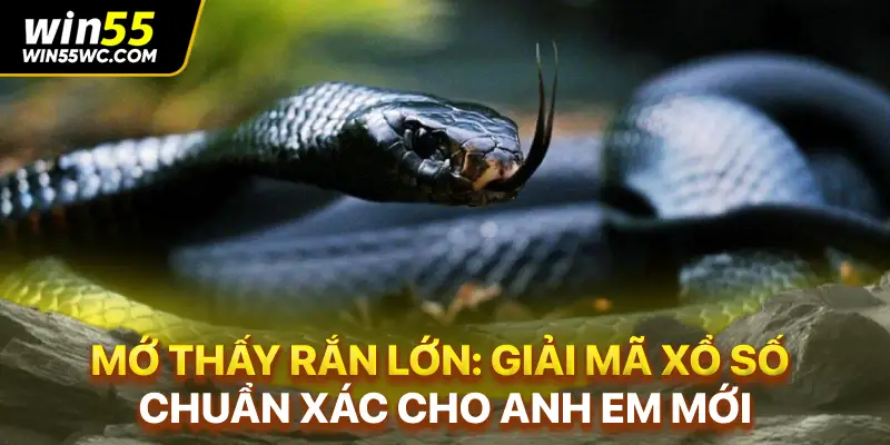 Mơ Thấy Rắn Lớn: Giải Mã Xổ Số Chuẩn Xác Cho Anh Em Mới
