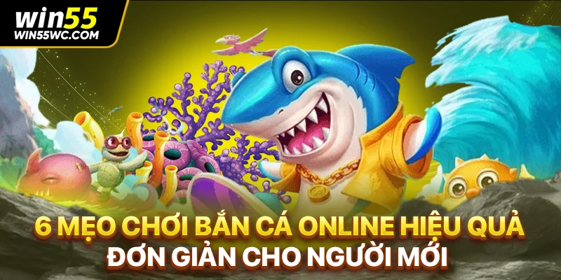 6 Mẹo Chơi Bắn Cá Online Hiệu Quả, Đơn Giản Cho Người Mới