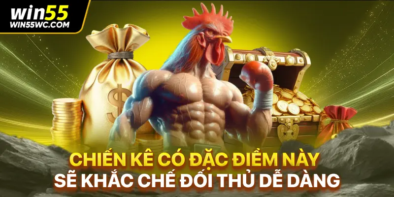 Chiến kê có đặc điểm này sẽ khắc chế đối thủ dễ dàng