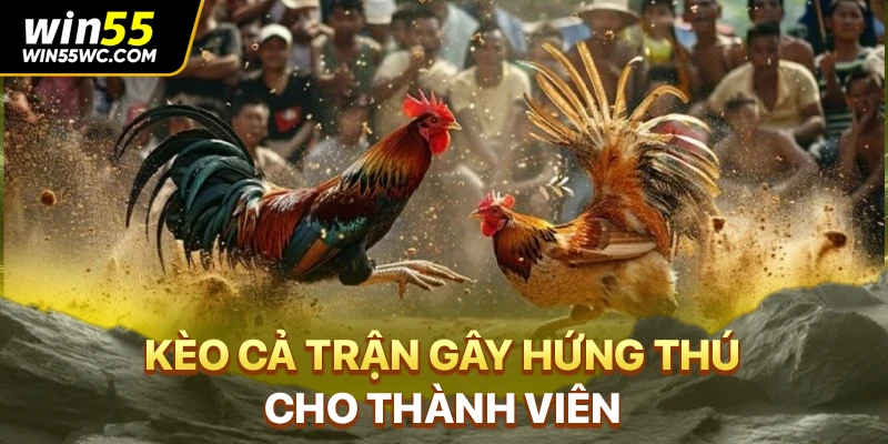 Kèo cả trận gây hứng thú cho thành viên