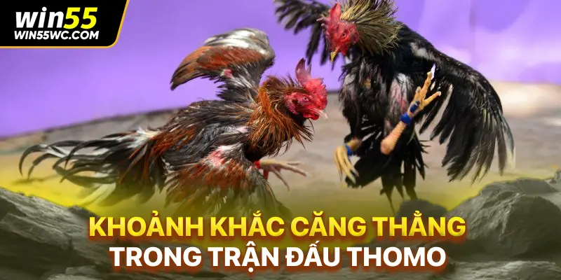 Khoảnh khắc căng thẳng trong trận đấu Thomo
