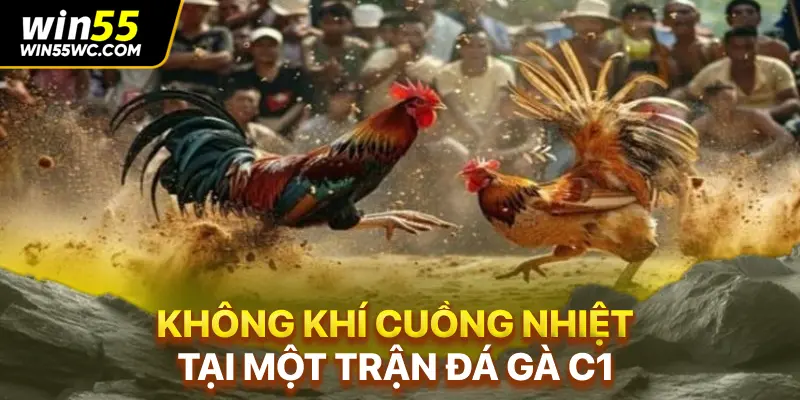 Các loại kèo đa dạng tại sảnh đá gà C1