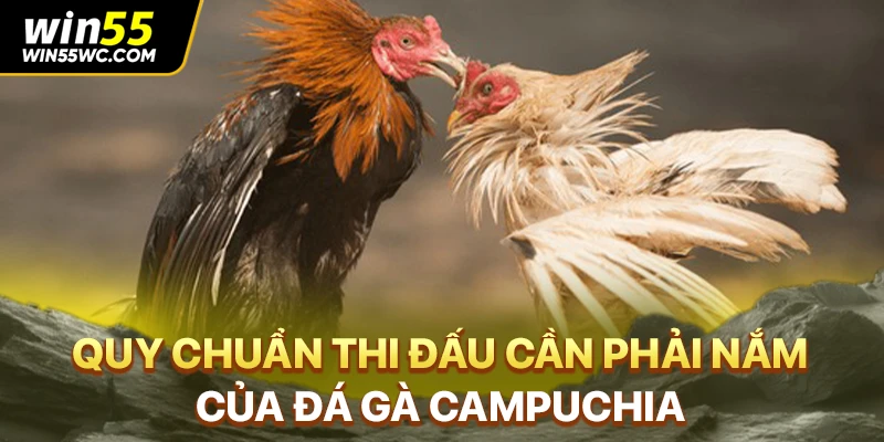 Quy chuẩn thi đấu cần phải nắm của đá gà Campuchia