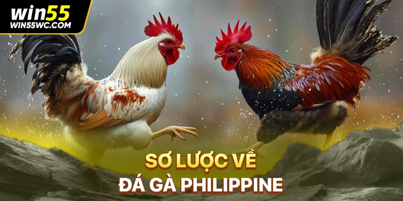 Sơ lược về đá gà Philippine